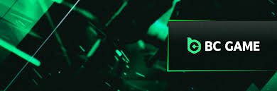 Understanding the Impact of BC Co on Modern Business Practices